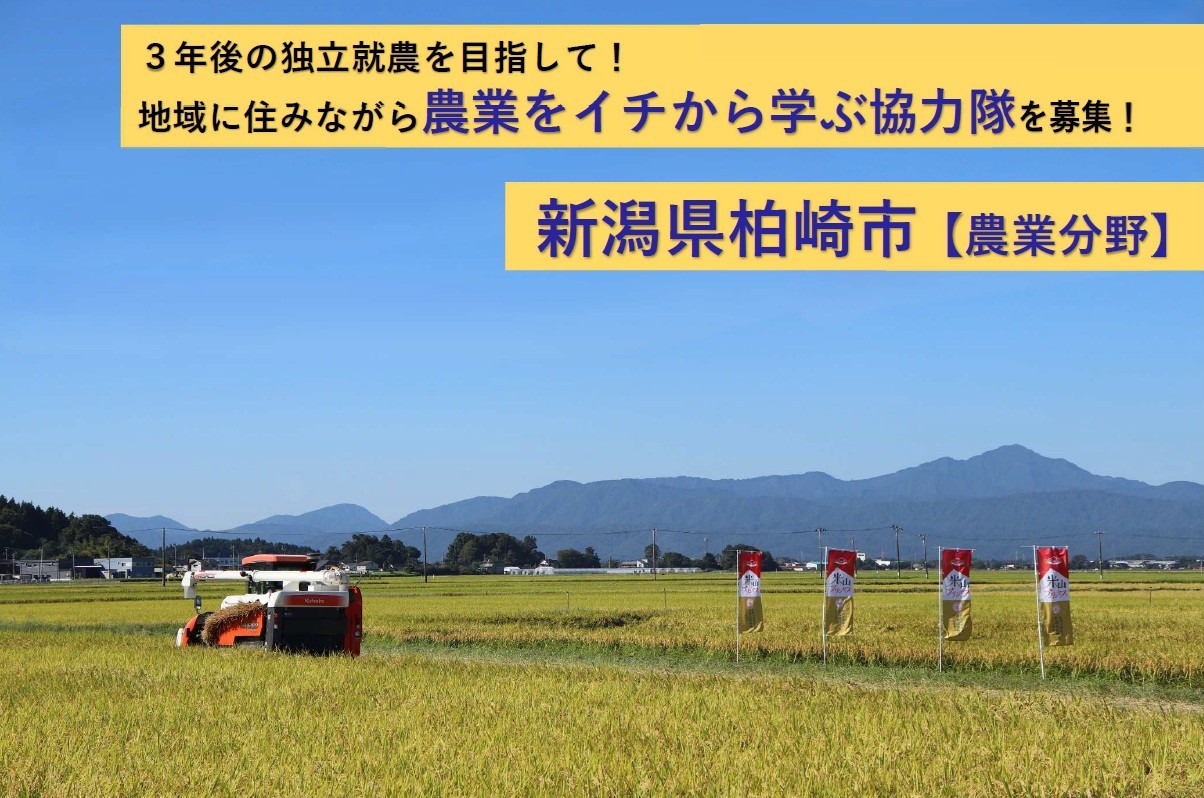 中通地域の田園風景