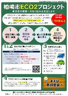 ECO2プロジェクトチラシ画像