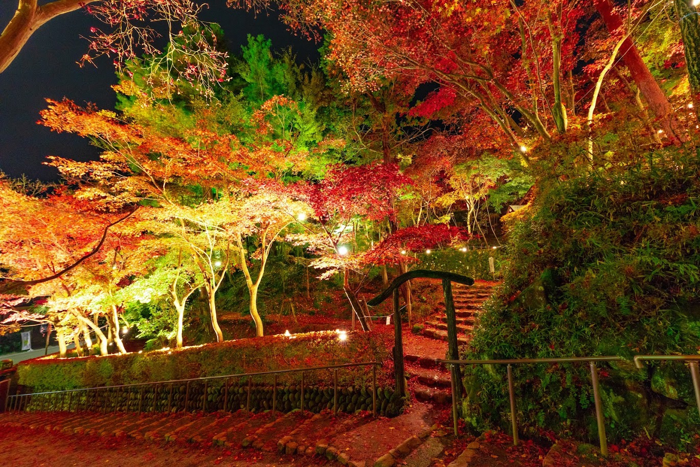 松雲山荘紅葉ライトアップ時の様子