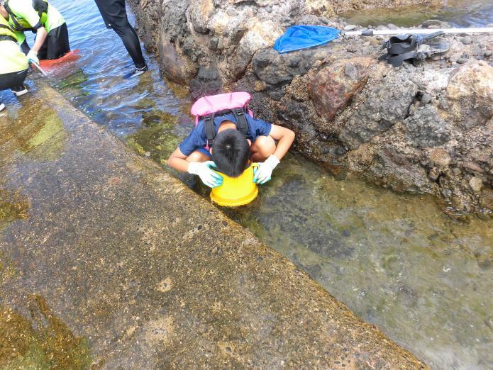 子どもが水中めがねを使い海の中を観察している様子の写真