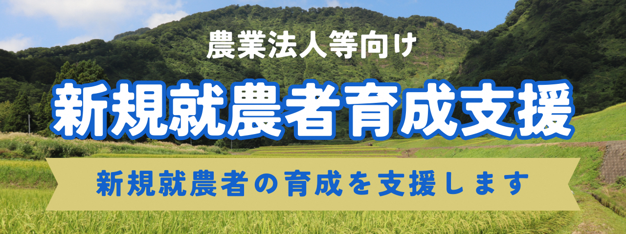 写真:手前に黄金色に実った稲穂があり、その奥に山がそびえています