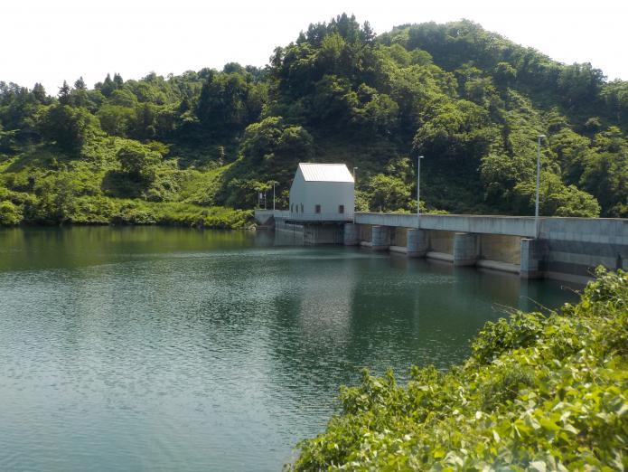 緑に茂った山をバックにダムの水が緑色に写る栃ヶ原ダム湖を左岸側より撮影した写真