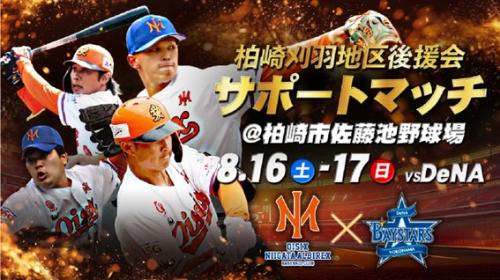 サポートマッチのバナーです。会場は佐藤が池野球場イースタンリーグアルビレックス新潟BC対横浜ベイスターズの試合を開催します