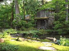 庭園の中には池があり、その周りにはたくさんの木々と木造の建物が建っている写真