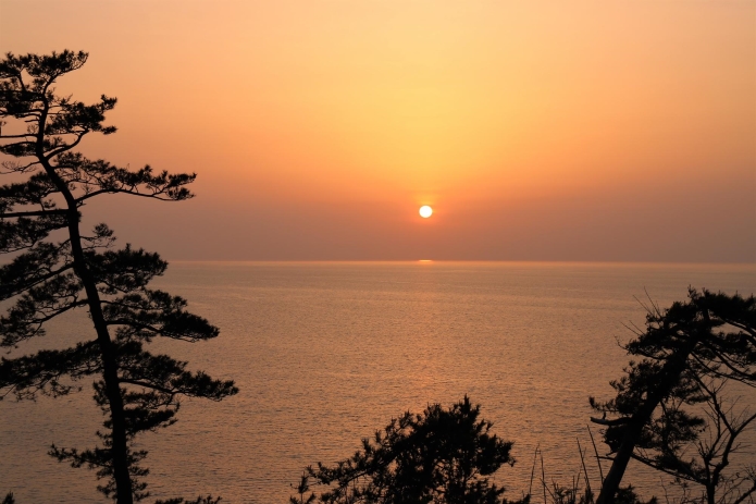夕焼け色に染まるたくさんの雲が空一面に広がっている写真