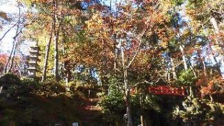 写真：11月21日時点の松雲山荘の正門前。よく晴れた青空に緑や黄や赤の葉がきれいに見えます。