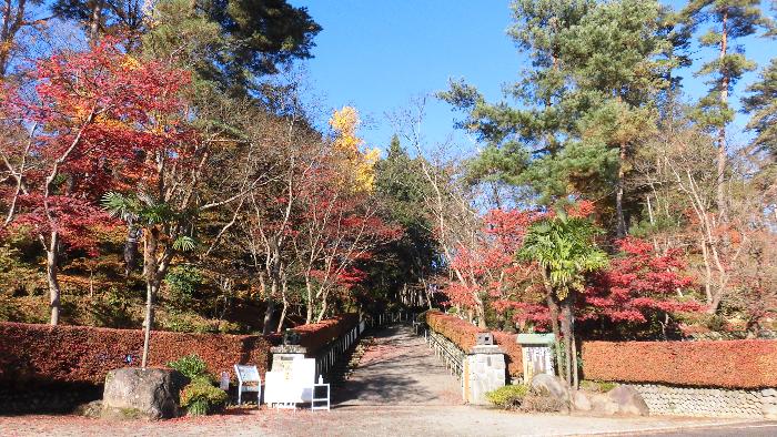 写真：11月21日時点の松雲山荘の正門前。葉が落ち始めていますが、きれいな紅葉も見ることができます。