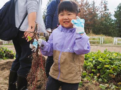 （イメージ）【食の地産地消イベント】さつまいも収穫体験の参加者を募集します