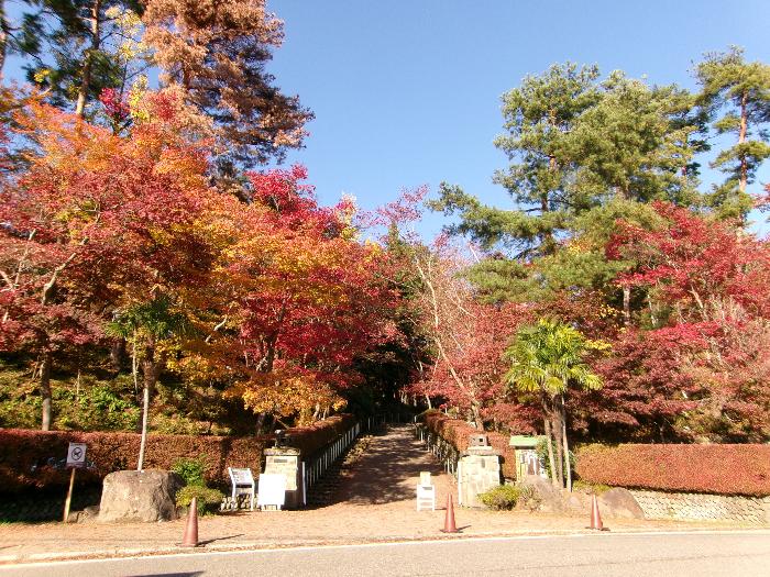 写真：11月22日の松雲山荘正面入り口。園路両脇の木が紅葉し、見ごろを迎えています