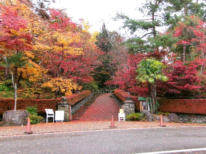 写真：11月24日の松雲山荘の正面入り口。園路両脇の葉が散り始め、園路に赤い葉が点在しています。