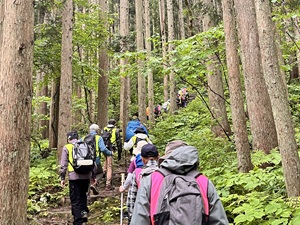 登山道を上る人々の写真
