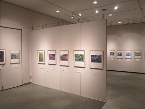 植物の写真が展示されている様子の写真