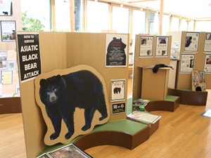 クマのパネルや毛皮が展示されている様子の写真