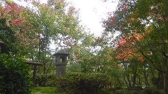 写真：11月2日の園内。紅葉した樹木と色づき前の樹木の中にたたずむ石灯篭