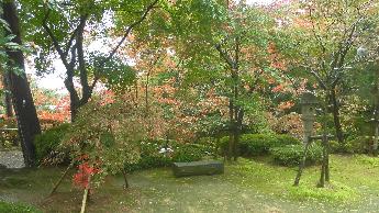写真：11月2日の園内。オレンジ色や赤く色づいた木々と石造のベンチが写っています