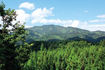 写真：新緑時期の刈羽黒姫山