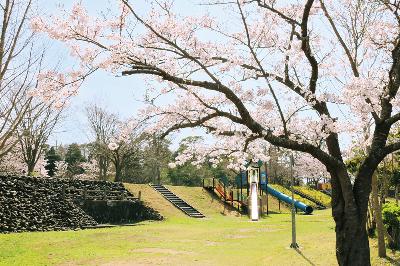 写真：桜に囲まれた赤坂山公園