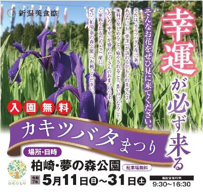 （イメージ）カキツバタまつり