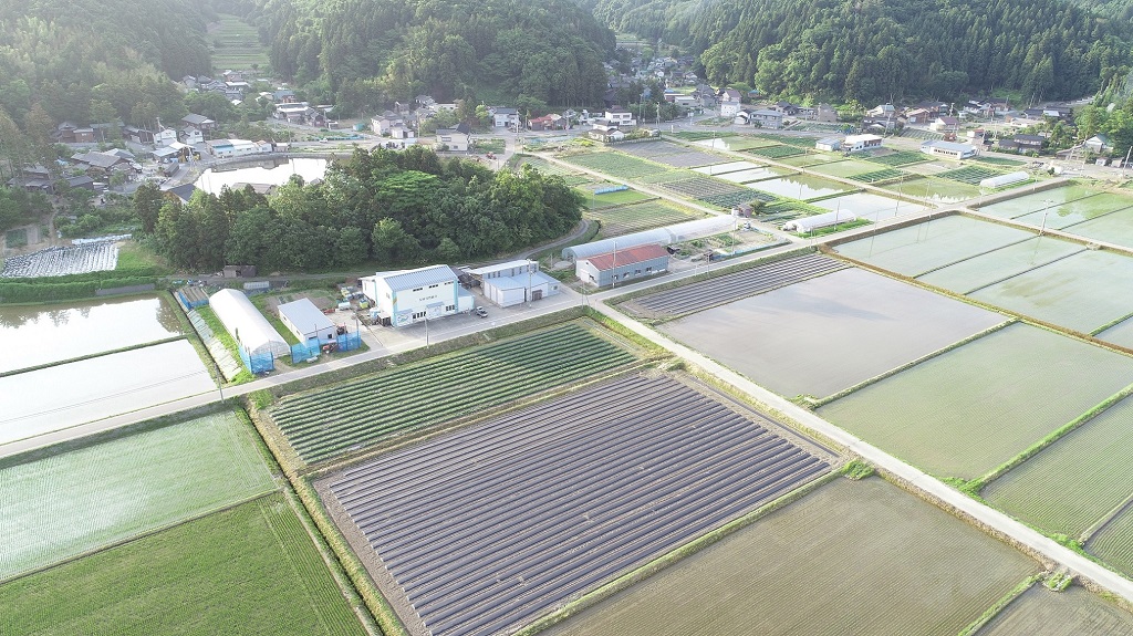 画像：空から見た矢田集落