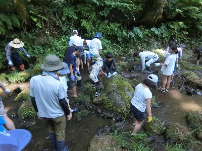 川遊びをする様子