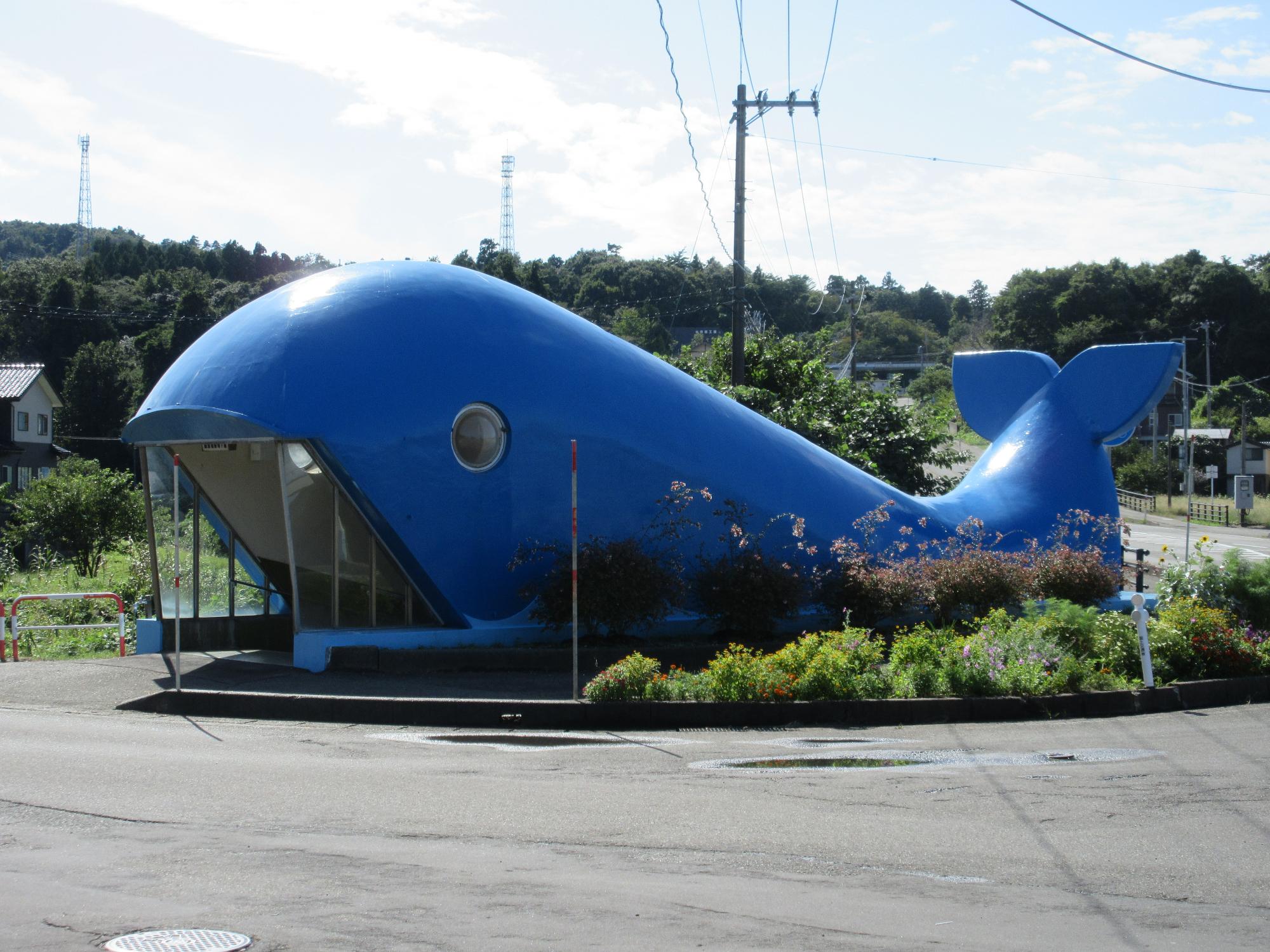 写真：クジラの形をした国道8号地下道。夏になると潮を吹き上げ、地域住民やドライバーを楽しませています。