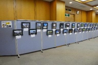 写真：高柳の風景や生活の様子を撮影した写真が展示されています。