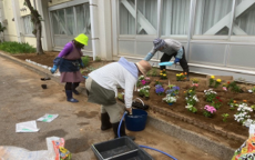 写真：建物わきに設置した花壇に、花の苗を植えているところ