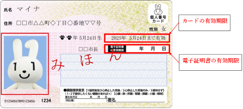 写真：マイナンバーカードの表面。カードの有効期限と電子証明書の有効期限が、カードの右中央に記載されています。