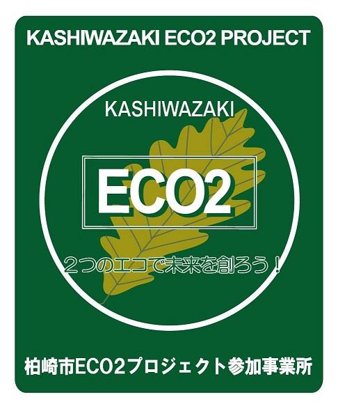 角型のカラーECO2ロゴマークのイラスト