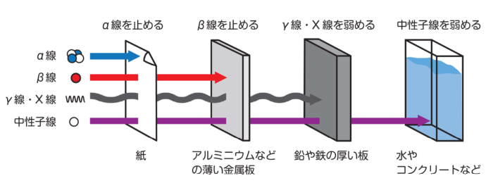 放射線の透過力（透き通る力の違い）を表した図。紙、薄い金属板、鉛や鉄などの厚い板、水・コンクリートの順に並び、透過力の弱いアルファ線は紙で遮られます。透過力の強い中性子線は金属板などを透過し、水やコンクリートでようやく遮ることができます。