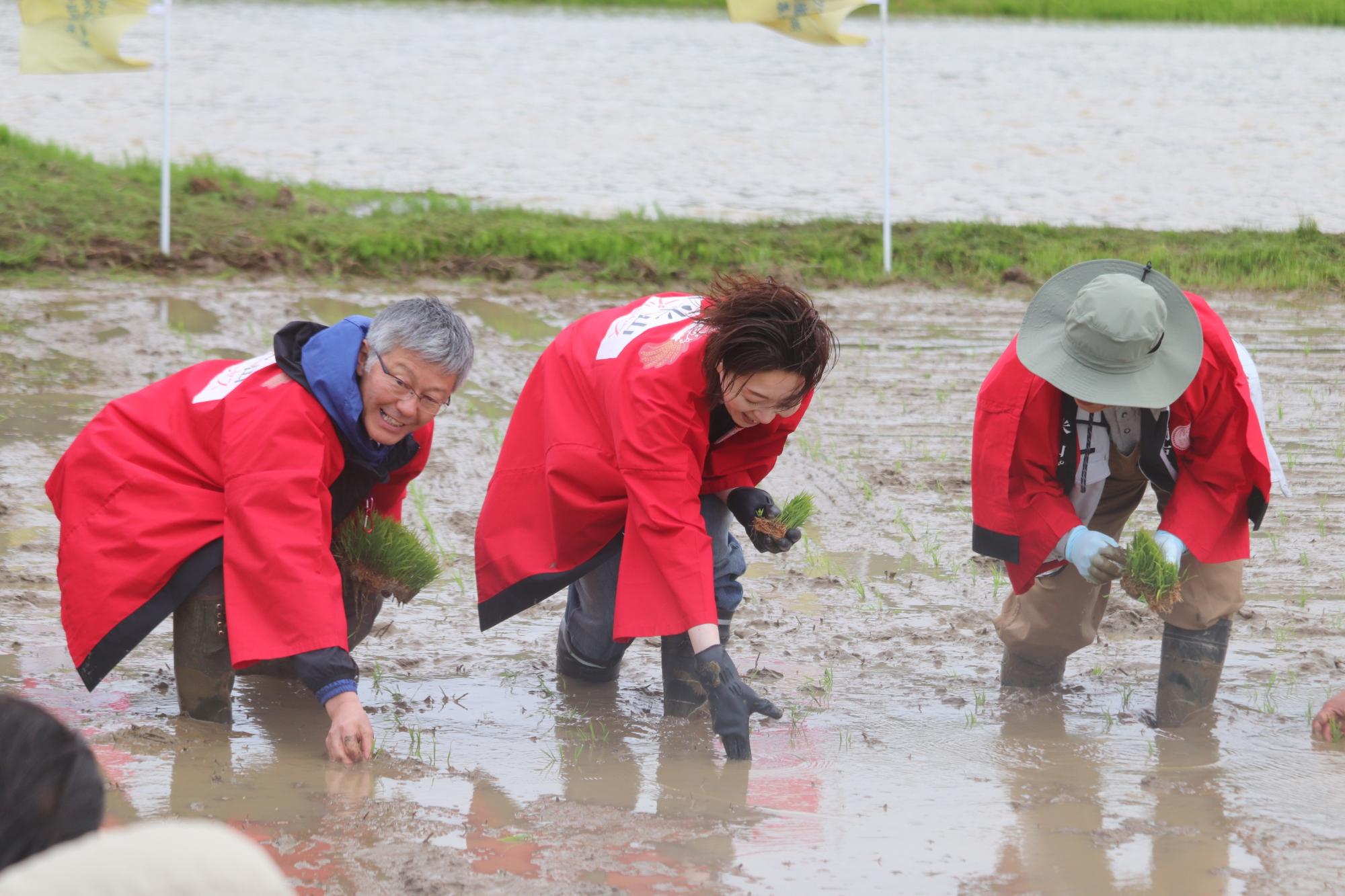 写真：越乃リュウさんと櫻井市長が苗を手植えしているところ