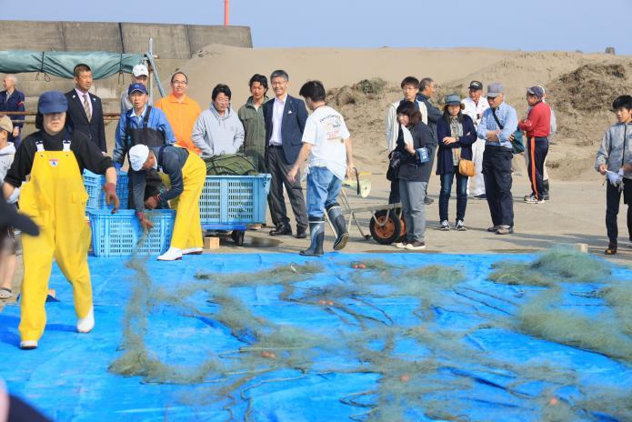 魚のかかった網が砂浜に広げられている様子の写真