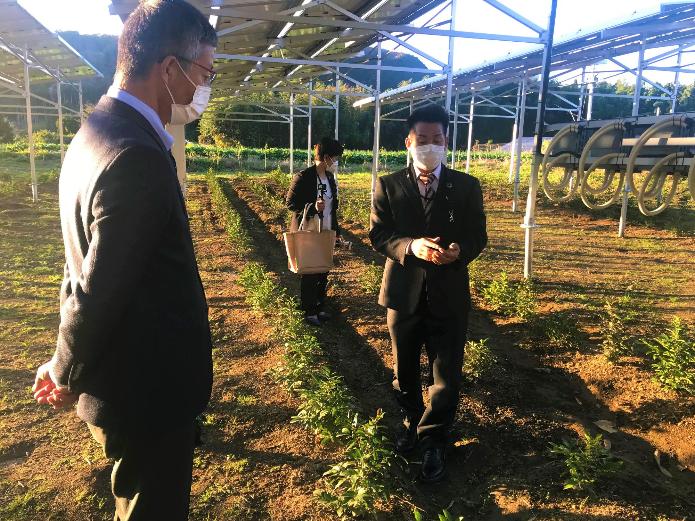 地面の土から出た複数の細い柱の上に立つ太陽光発電事業施設の中で、市長が彩の榊職員の方から説明を受けている写真