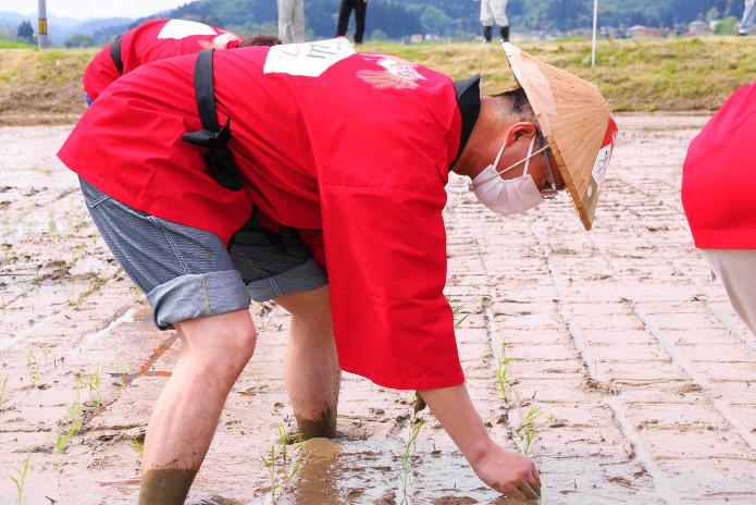 米山プリンセスのロゴが入った赤い法被を身にまとった市長が、屈みながら右手を土の中に入れて苗を植えている写真