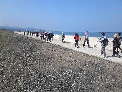 参加者が浜辺の道で歩いている写真