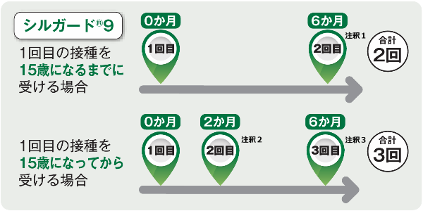 子宮頸がんワクチンの一般的な接種スケジュール図。この後、一般的な接種スケジュールの説明が続きます