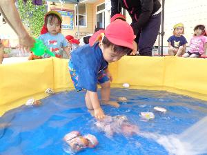 写真：ビニールプールの水の中の沈む缶詰を、探して取ろうとしている1歳児