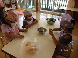 写真：ピーマンをてでちぎる4歳児たち