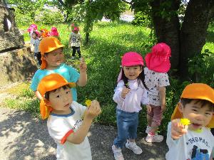 写真：カメラに向けてたんぽぽの花を見せてくれるぱんだ組とひつじ組の子どもたち