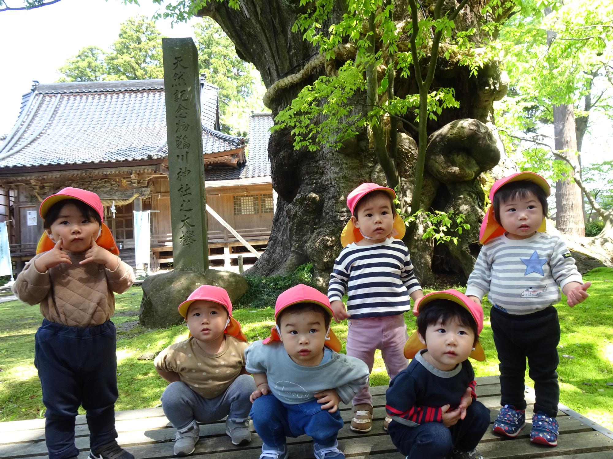 写真：神社の境内にある大木の下でポーズをとる1歳児