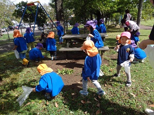 どんぐり拾いを楽しんでいる子どもたちの写真