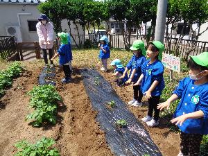 写真：植え終わった野菜の苗に両手を向けて、生長に願いを込める子どもたち