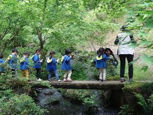 写真：赤坂山公園の散策コース途中にある細い橋を、カニのように横歩きで渡る子どもたち