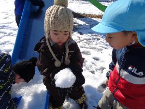 写真：やさしく雪を手ですくって、のぞき込む3人の子どもたち