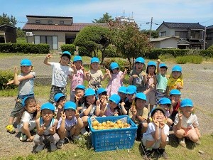 写真：ジャガイモの収穫を終えたきりん組の子どもたち。子どもたちの真ん中には大きなカゴに山盛りのジャガイモが入っています。