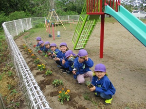 写真：園庭にある畑に、夏野菜の苗を植えた8人の子どもたち