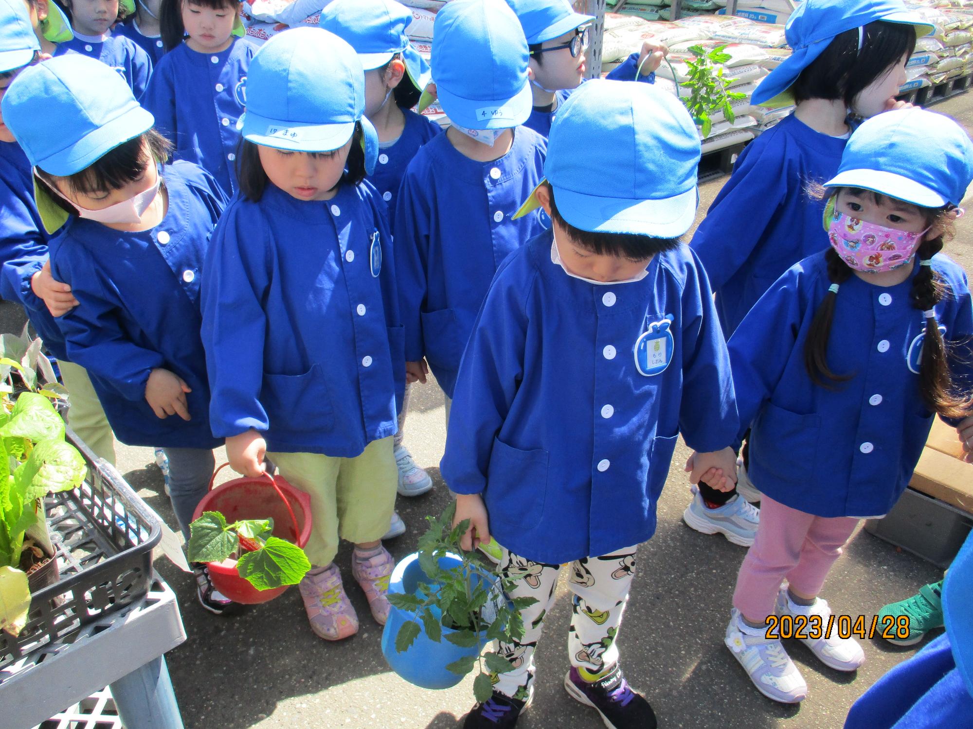 写真：選んだ苗を小さなプラスチックバケツに入れ、2列に並んで支払いを待つ子どもたち