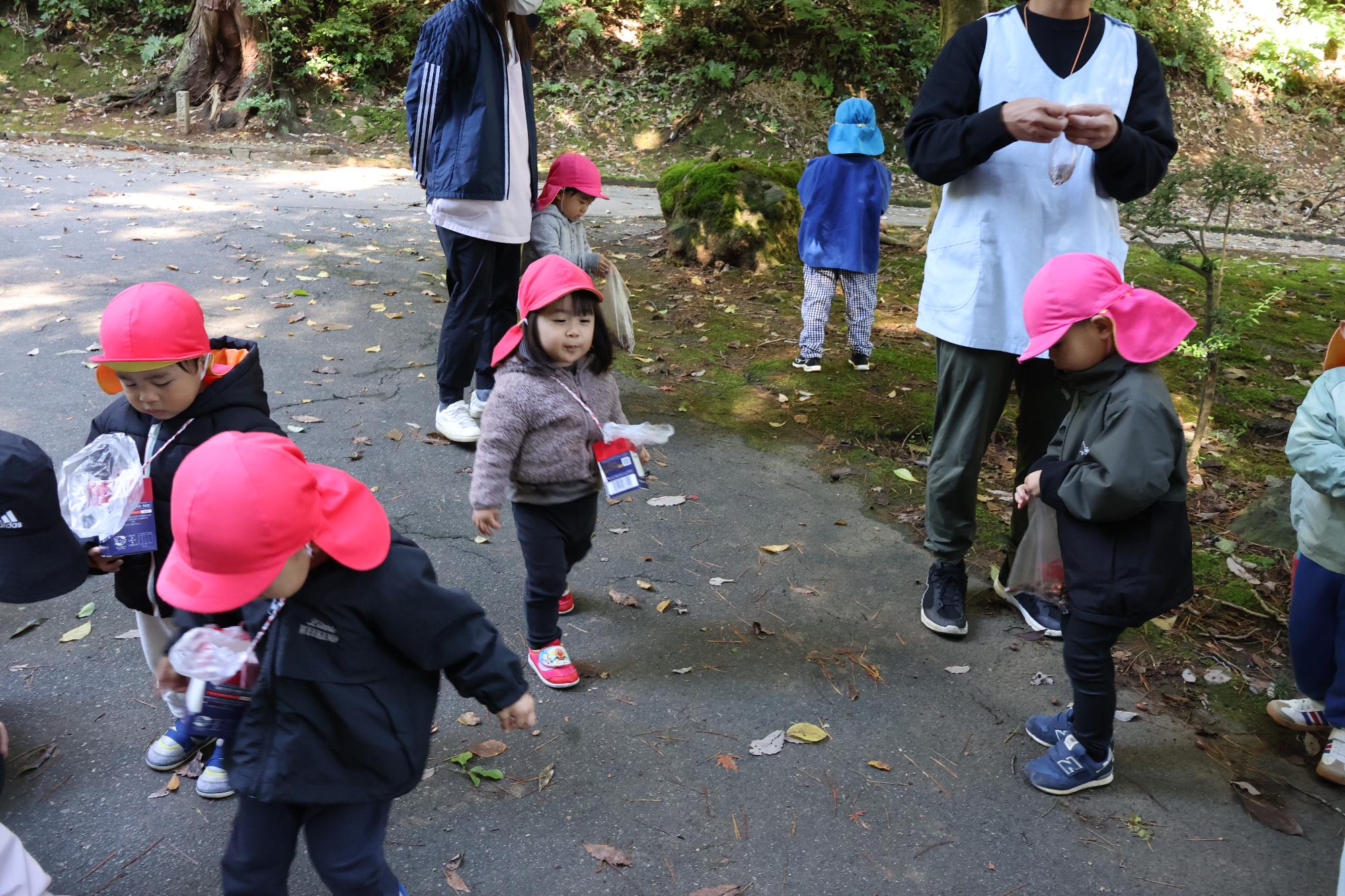 写真：歩きながらどんぐりを探す子どもたち。おみやげバッグの中を覗き込む1人の子どもがいます。