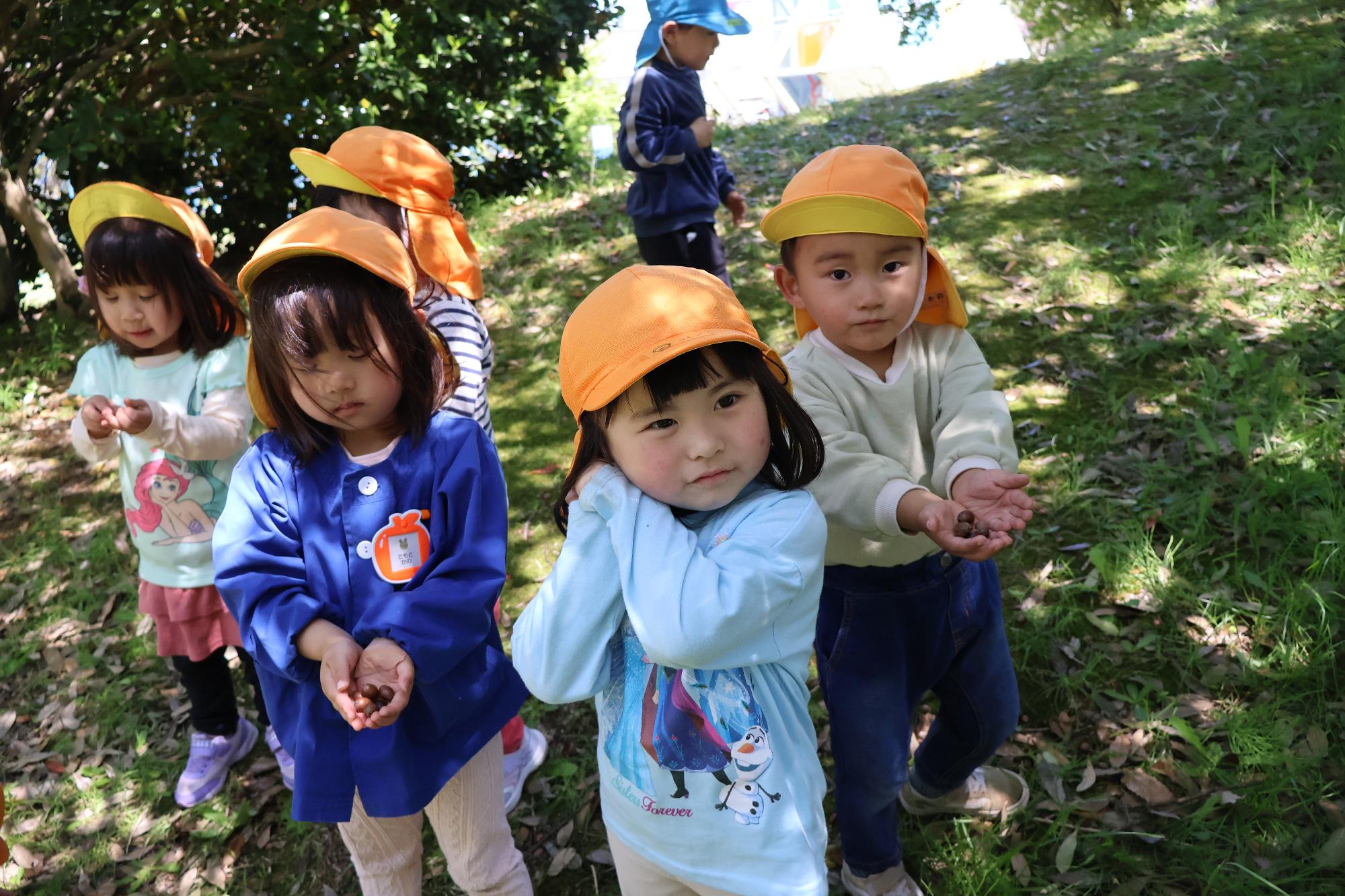 写真：両手いっぱいに拾ったどんぐりを見せてくれる4人の子どもたち。その後ろには探している最中の男の子もいます。