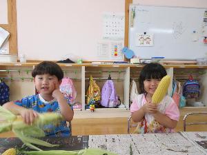 写真：皮とひげをとったトウモロコシを目の前に掲げる2人の2歳児